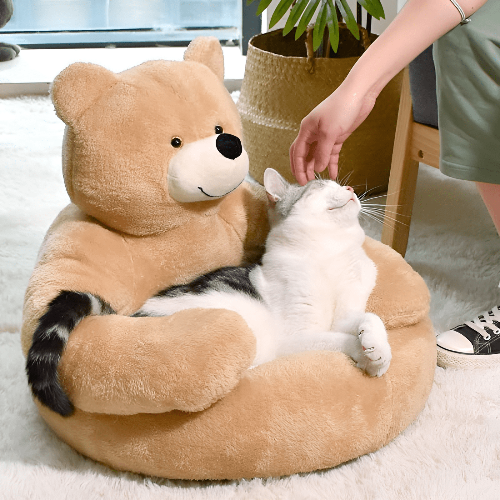 TeddyBear™ - Säng för husdjur - Dossify