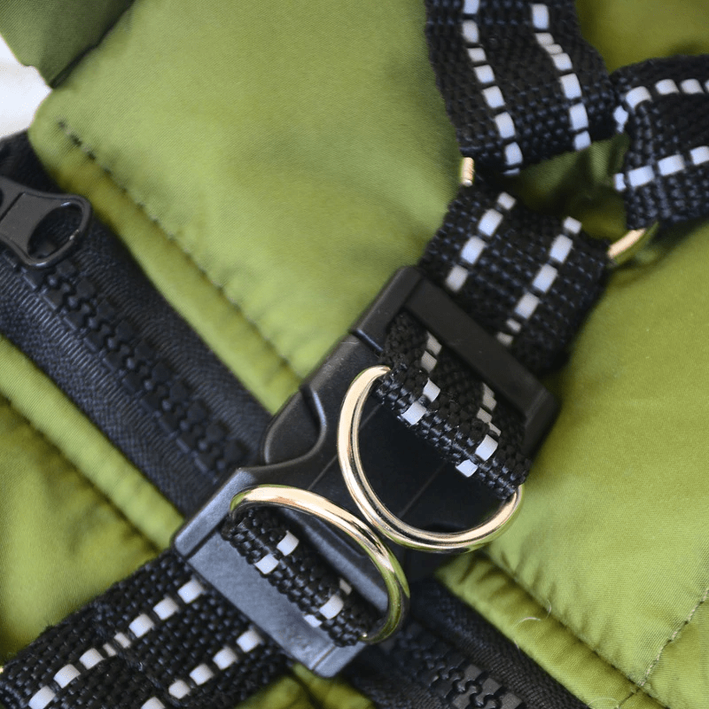Varm hundjacka med inbyggd sele - Dossify