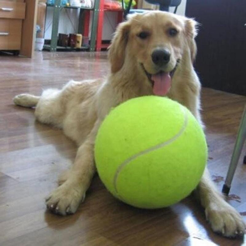 XXL Tennisboll för hund - Dossify