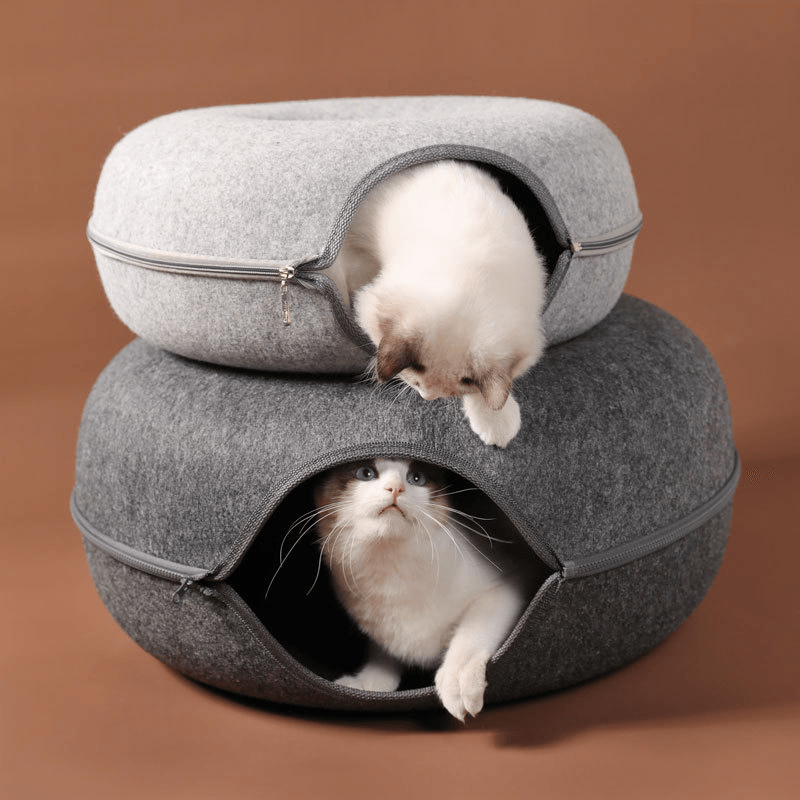 Donut Katt Tunneln: Din Lösning för en Harmonisk Hemmamiljö