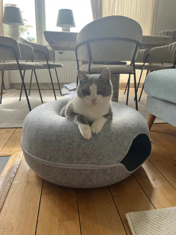 🐾 Gör Din Katt Lycklig med Donut Katt Tunneln – Lek och Mys i Ett! 🎉 - Dossify