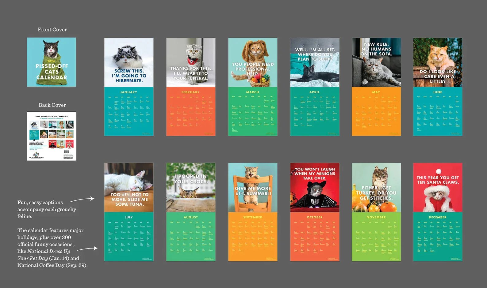 2024 Ilskna Katter Kalender - Dossify