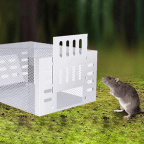 Djurvänlig musfälla - effektiv och human skadedjursbekämpning - Dossify