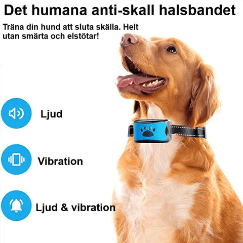 Humant anti-skall halsband för hundar - Dossify