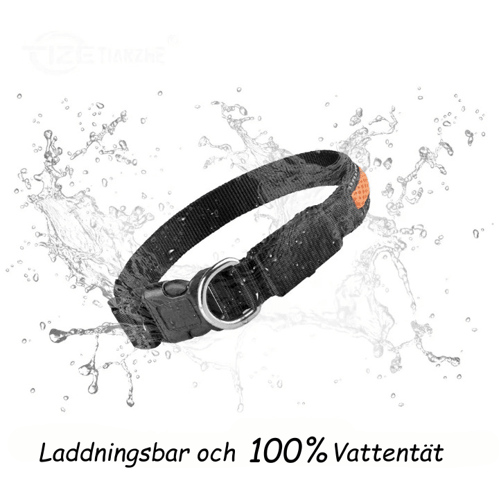 LED-halsbandet -- Säkerhetshalsband med ljus - Dossify