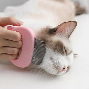 Massagekam för katter - Dossify