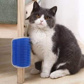 Självvårdsborste För Katt: Det Perfekta Massageverktyget - Dossify